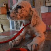 ЮВЕТТА ХАНТИ