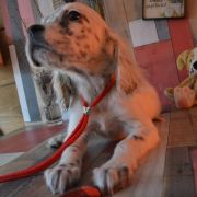 ЮВЕТТА ХАНТИ