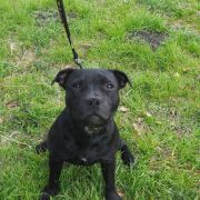 Yupiter, Yolie, Yasmin 4