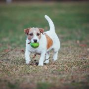 Z Ledulandu Concepcion Mercedes 4