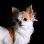 Zahra Casa Del Arte 2