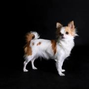 Zahra Casa Del Arte 3