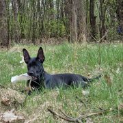 ZANETTI Dream Of Coffee FCI 