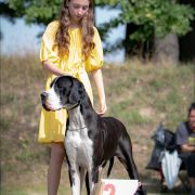 ZARA Scarlet Diamond FCI