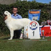 ŹDZIEBKO PANNY KU OWCOM 2