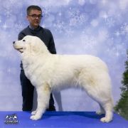 ŹDZIEBKO PANNY KU OWCOM 4