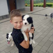 Zurra Jodłowy Border