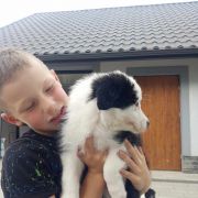 Zurra Jodłowy Border