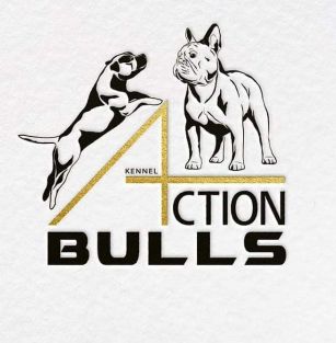 Action Bulls