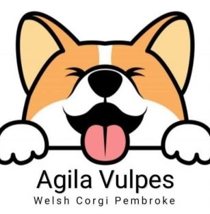Agila Vulpes (FCI)