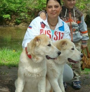 Алабаи Ростов-на-Дону