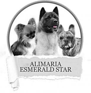 ALIMARIA ESMERALD STAR