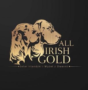 All Irish Gold