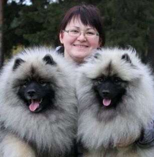 Алмазный Источник