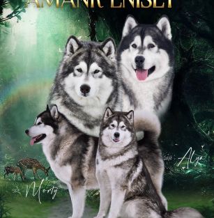 АМАНК ЕНИСЕЙ