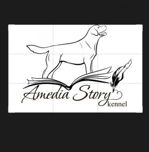 AMEDIA STORY