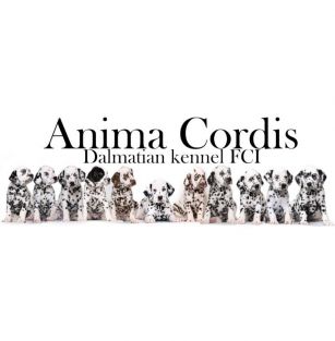 Anima Cordis FCI