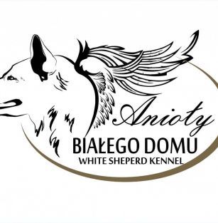 ANIOŁY BIAŁEGO DOMU