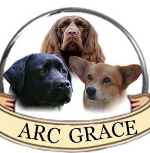Arc Grace