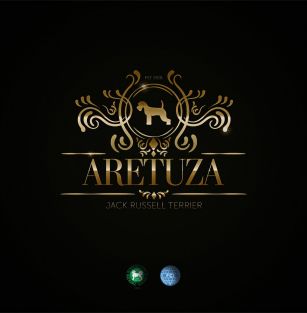 Aretuza