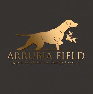 Arrubia Field