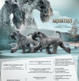 arshkerry