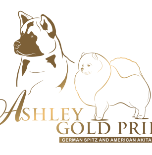 Ashley Gold Praid 