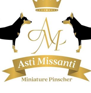 Asti Missanti FCI 