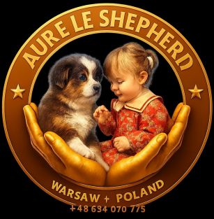 Aure Le Shepherd FCI ZKwP 