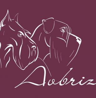 AVBRIZ