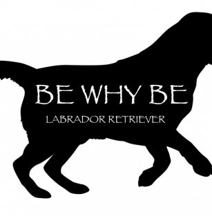 BE WHY BE 