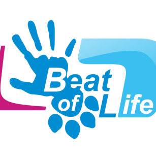 BEAT OF LIFE 