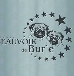 Beauvoir de Bur'e
