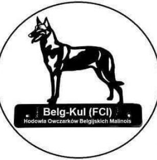Belg-Kul