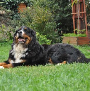 Berneńska Przystań 