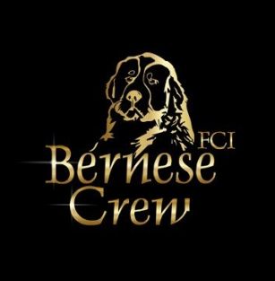 Bernese Crew FCI