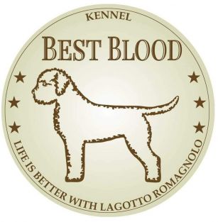 Best Blood 