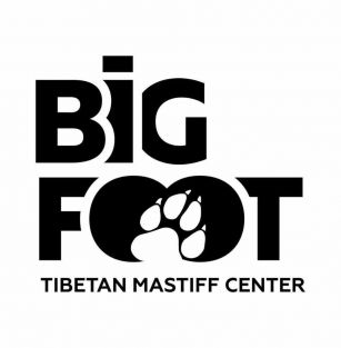 Big foot