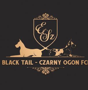 Black Tail-Czarny Ogon FCI