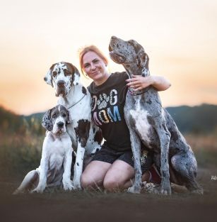 Black Tail-Czarny Ogon FCI