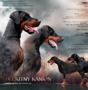 Błekitny Kanion FCI