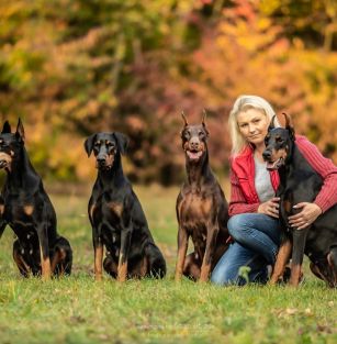Błekitny Kanion FCI