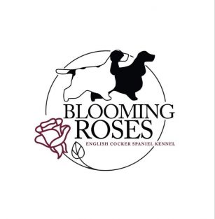 Blooming Roses FCI