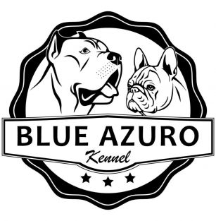 Blue Azuro Kennel