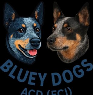 Bluey Dogs Acd (FCI)