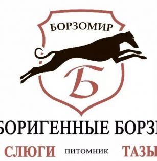 Борзомир 