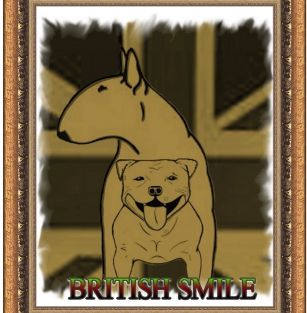 BRITISH SMILE