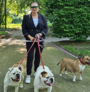 Buldogi z Grodu Sapiechy