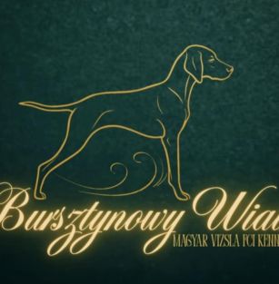 Bursztynowy Wiatr FCI 