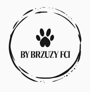 By Brzuzy FCI